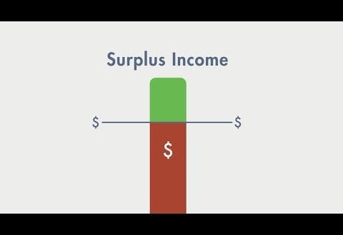Surplus Income